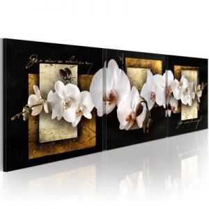 Obraz - Chic and elegance
