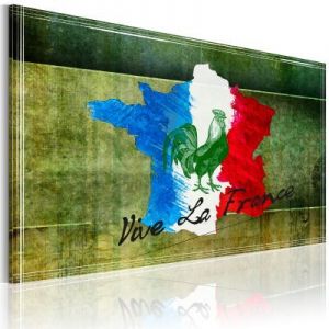 Obraz - Vive la France